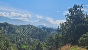 whatsapp image 2025 08 13 at 8.22.09 pm (1)