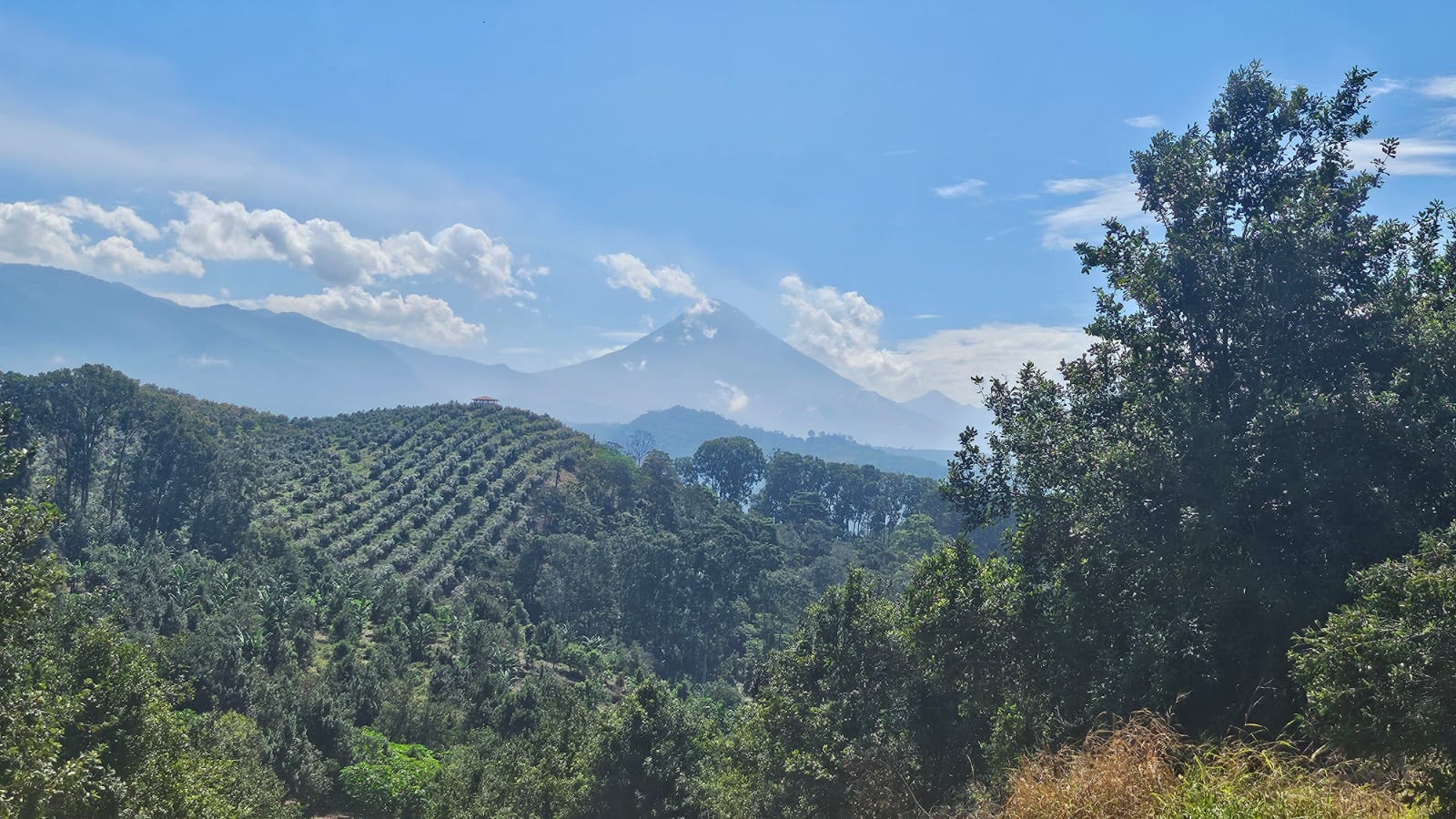 whatsapp image 2025 08 13 at 8.22.09 pm (1)