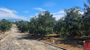 whatsapp image 2025 08 13 at 8.22.13 pm (1)