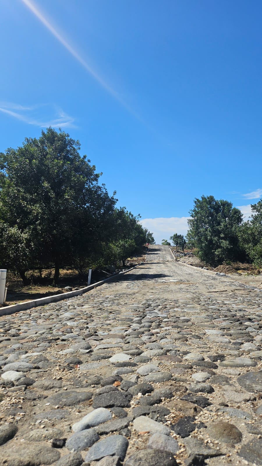 whatsapp image 2025 08 13 at 8.22.13 pm (4)