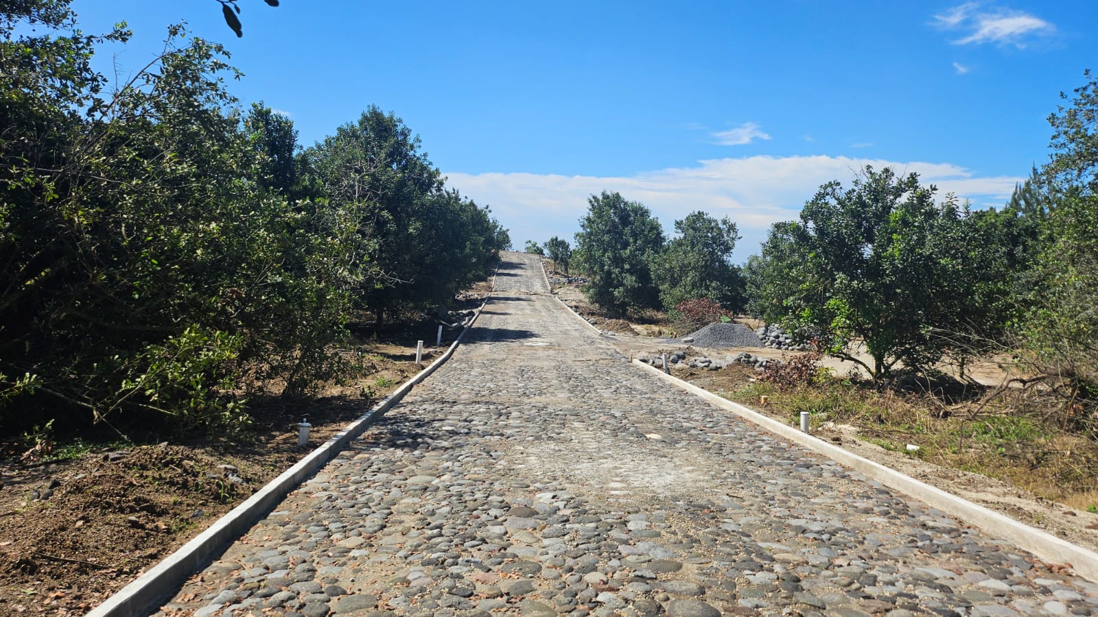 whatsapp image 2025 08 13 at 8.22.14 pm (1)