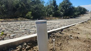 whatsapp image 2025 08 13 at 8.22.14 pm (2)