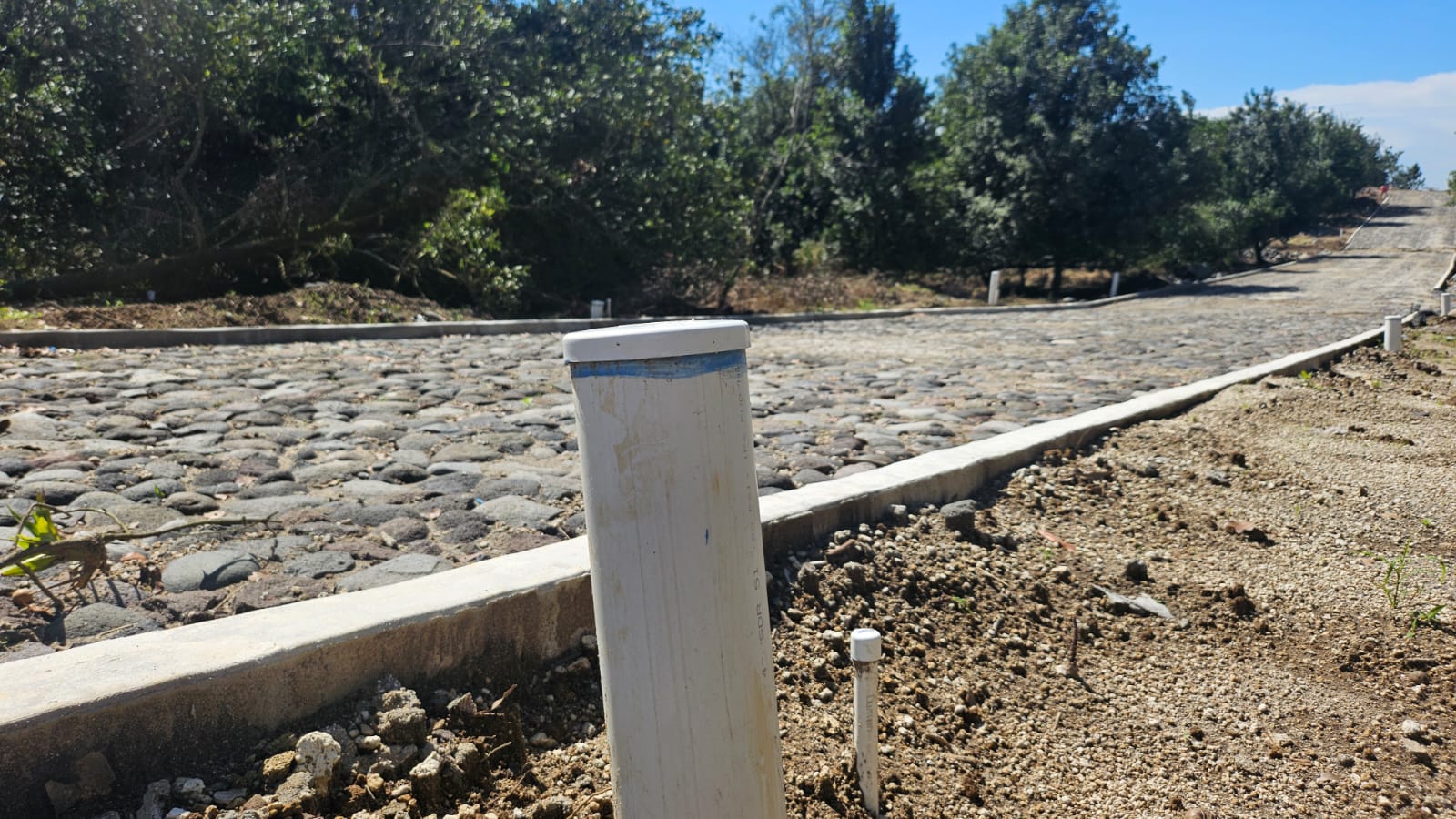 whatsapp image 2025 08 13 at 8.22.14 pm (2)