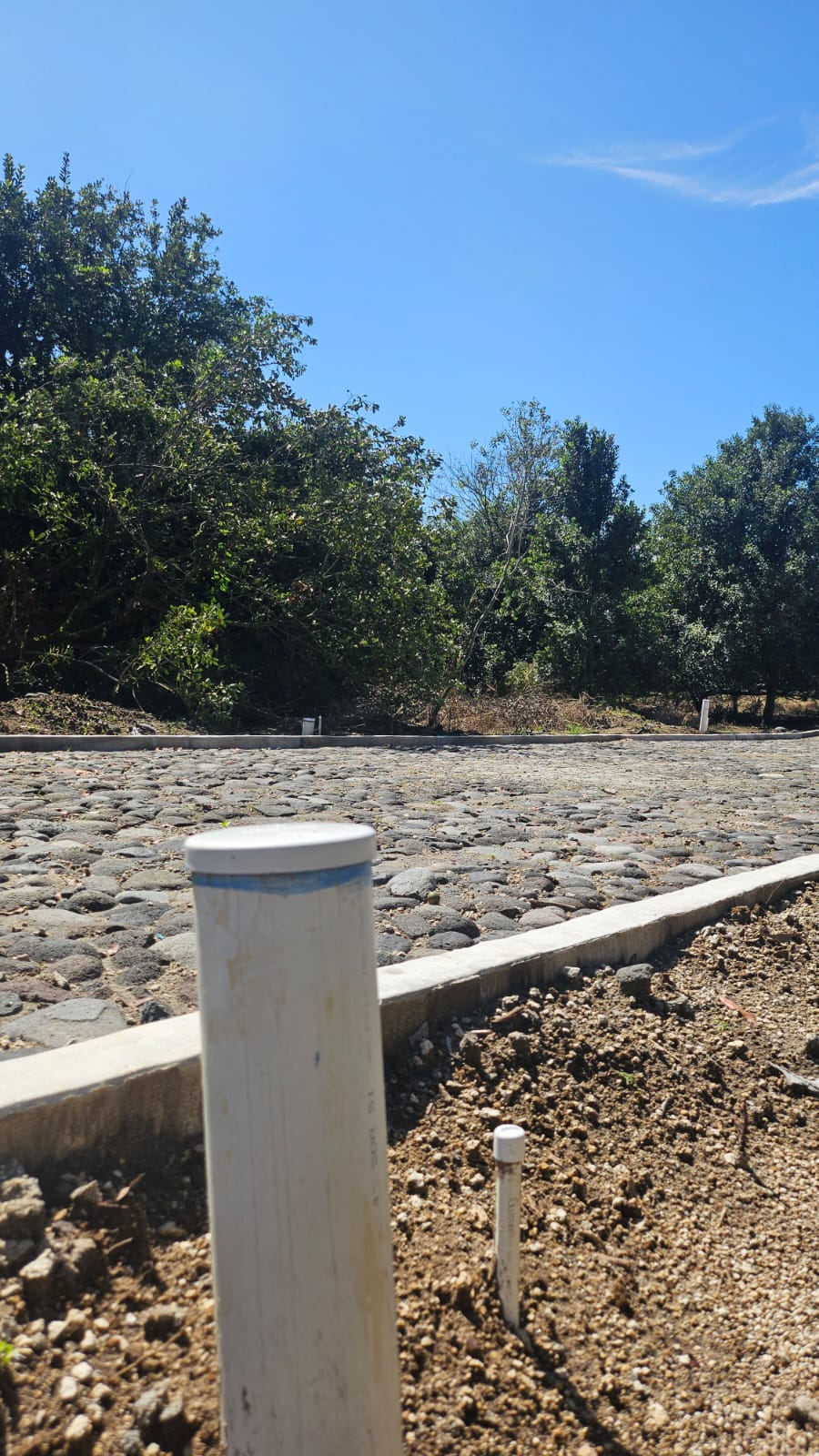 whatsapp image 2025 08 13 at 8.22.14 pm